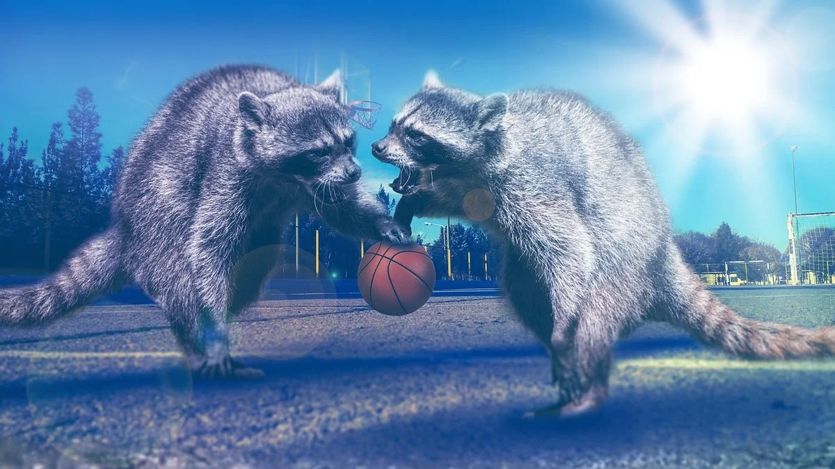 WNBA奖项追踪：A'jaWilson赛后节奏与临场控制解析